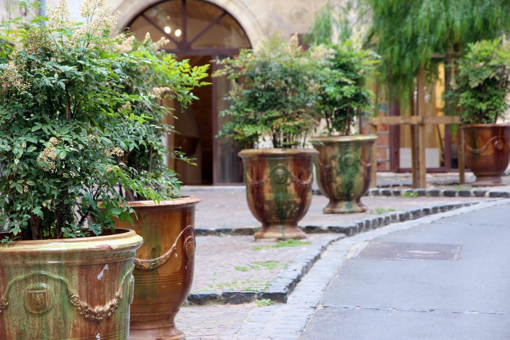 Le Jardin Secret - Balneo & Spa Montpellier Exteriér fotografie